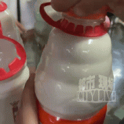 子里面有一个虫